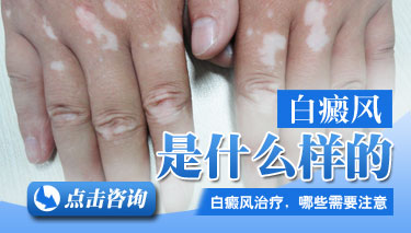 粡г֢״Щ