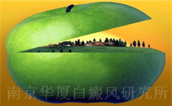 白癜风能吃什么?能吃菜瓜吗